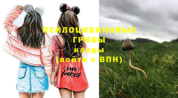 синтетический гашиш Бронницы