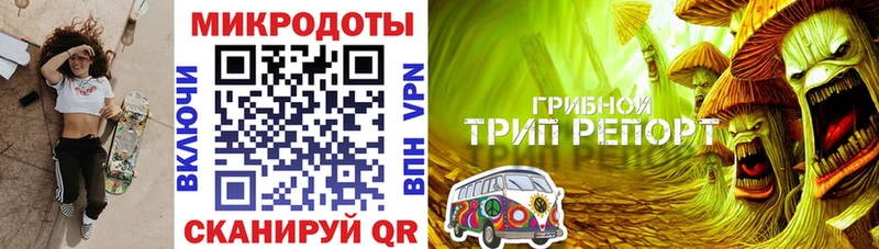 даркнет сайт  Дмитровск  Галлюциногенные грибы прущие грибы 